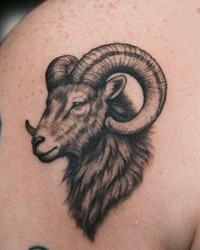 Tattoo by Thundercat Tattoo Studio